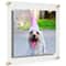 Cool Modern Frames Clear Acrylic Float Frame with Gold Hardware